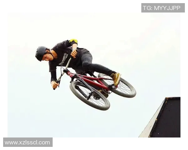 成都极限运动队状态分析与表现评估的全面研究与探讨