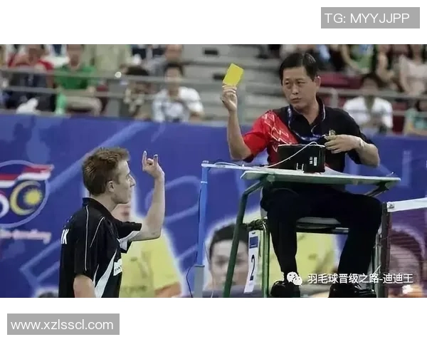 武汉羽毛球队的转型之路与未来发展趋势深度解析 武汉羽毛球队的转型之路与未来发展趋势深度解析