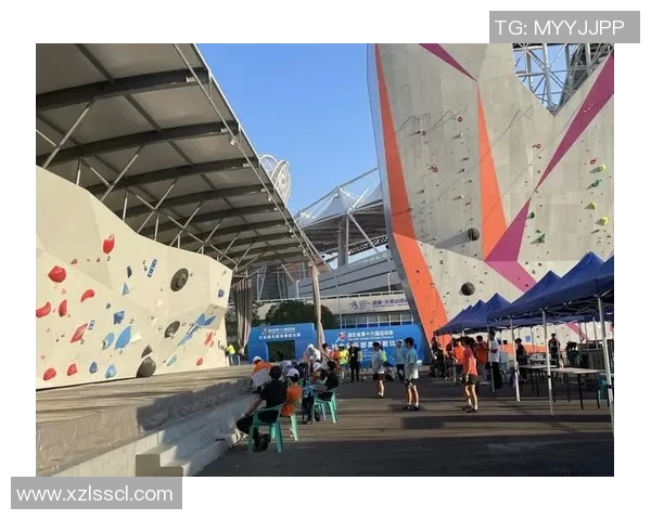 武汉攀岩队战术解析:如何在比赛中运用阵地战策略提升胜率 武汉攀岩队战术解析:如何在比赛中运用阵地战策略提升胜率