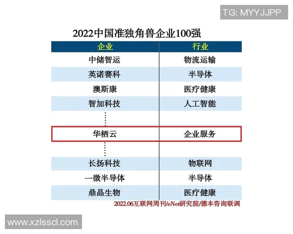 飞盘灵活性实力榜单权威发布揭示各队实力排名与发展潜力 飞盘灵活性实力榜单权威发布揭示各队实力排名与发展潜力