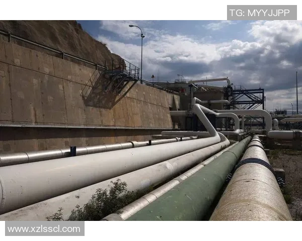 专业分析LNG市场的控制策略与应对方法探讨