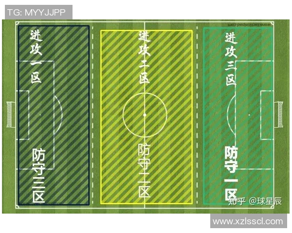 杨芳独家解析足球技巧与战术分享助你提升球场表现